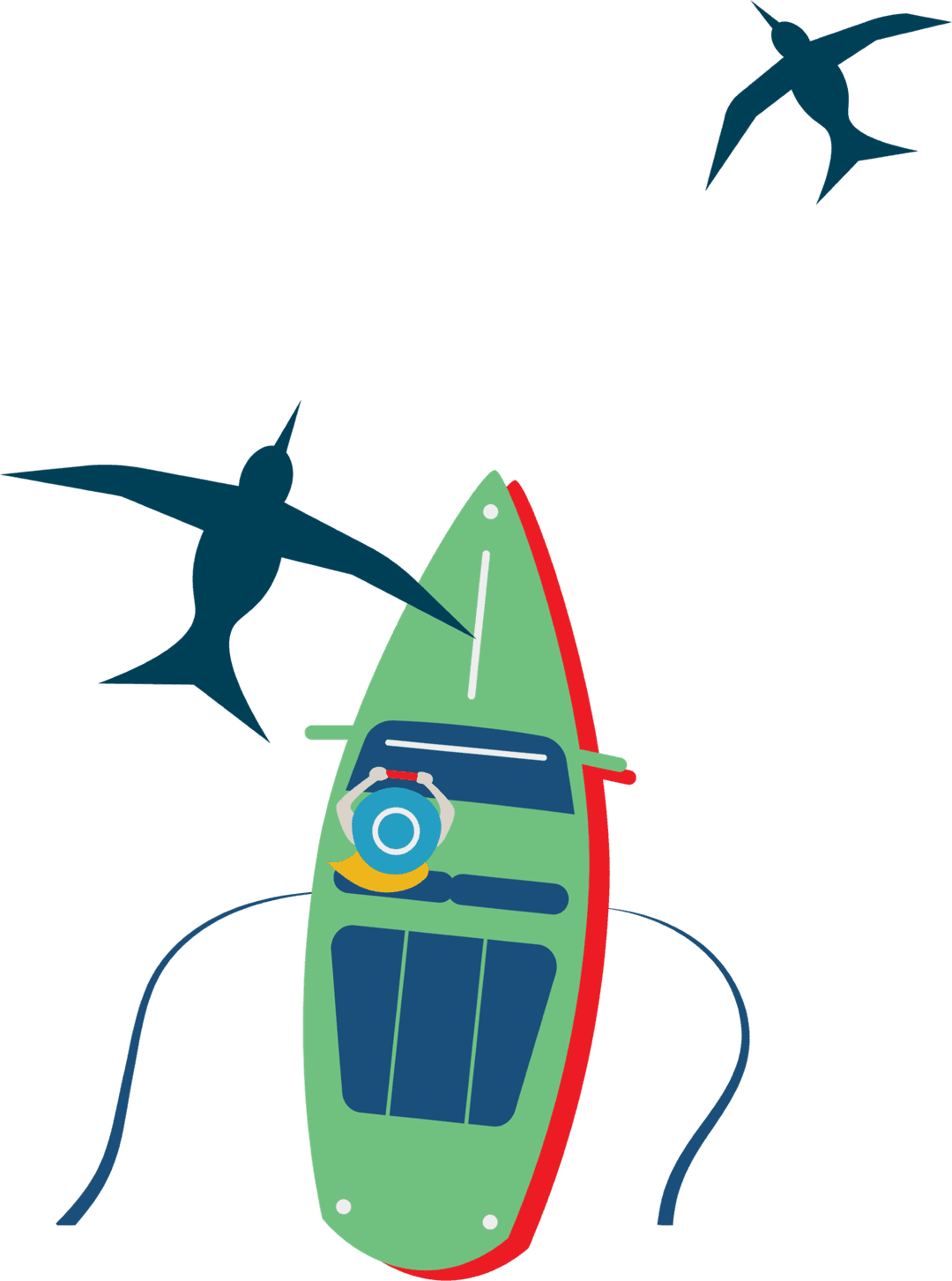 boat and birds illustration