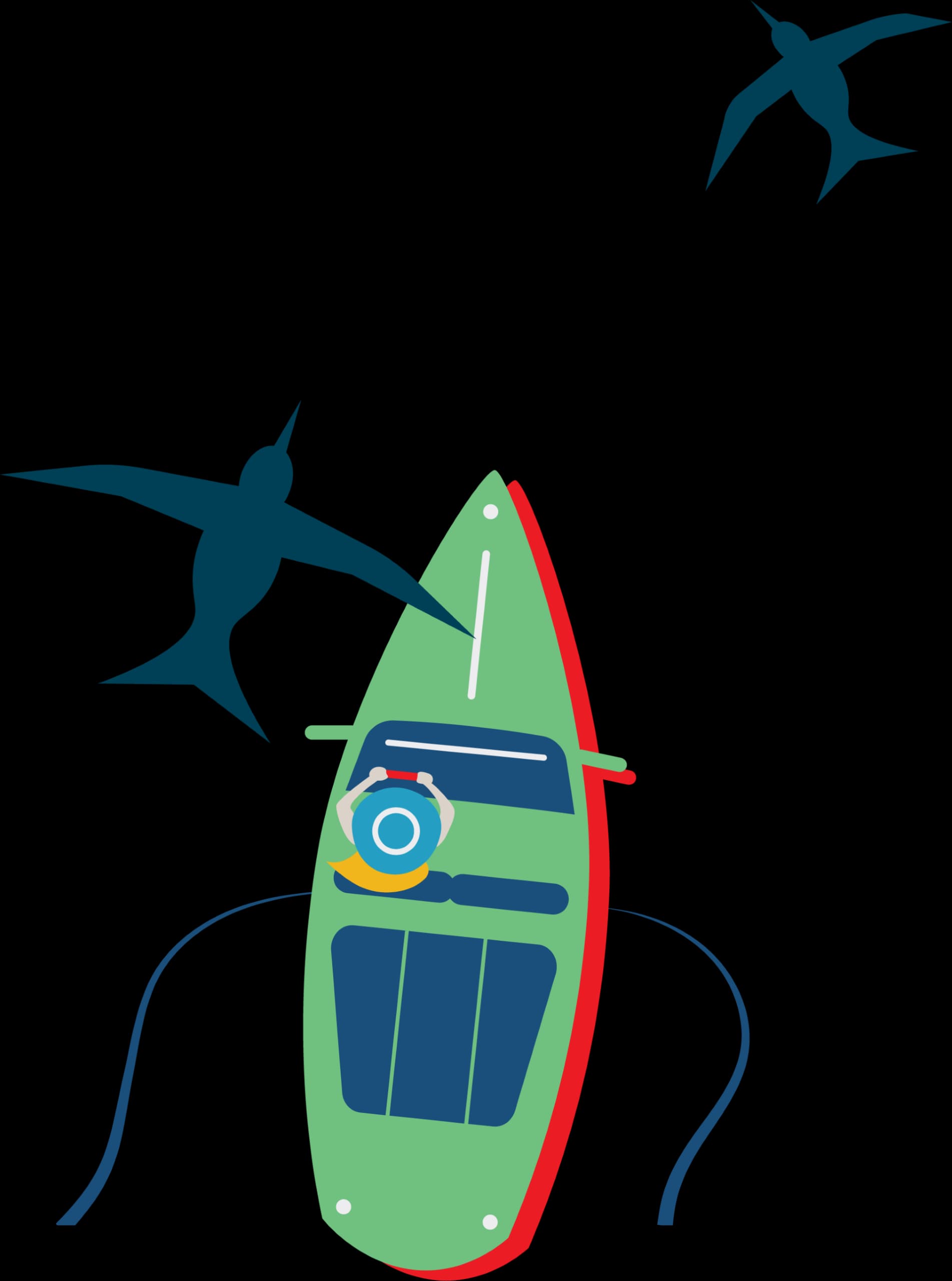 boat and birds illustration